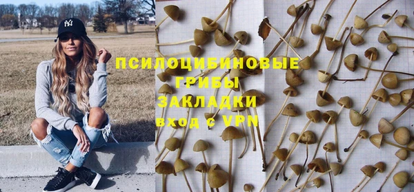 PSILOCYBIN Алексин