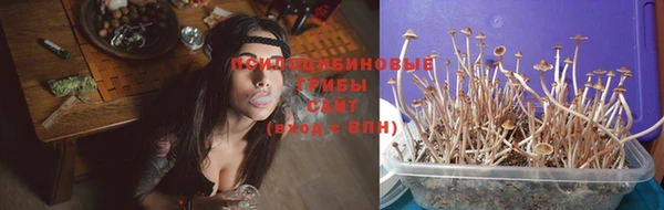 PSILOCYBIN Алексин