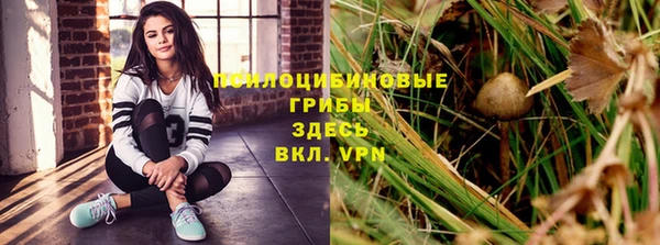 PSILOCYBIN Алексин