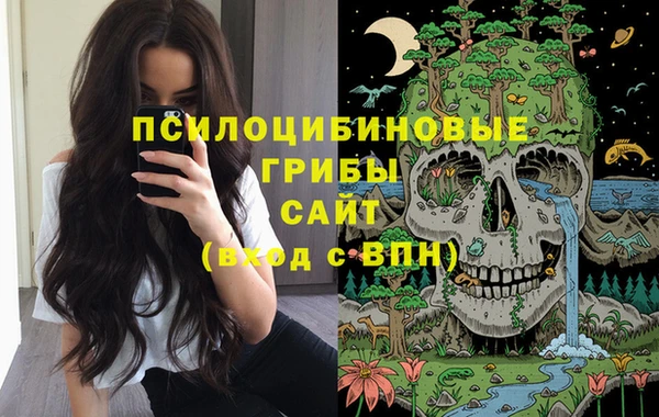 PSILOCYBIN Алексин