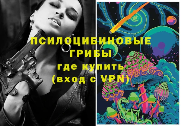 МДПВ Алзамай
